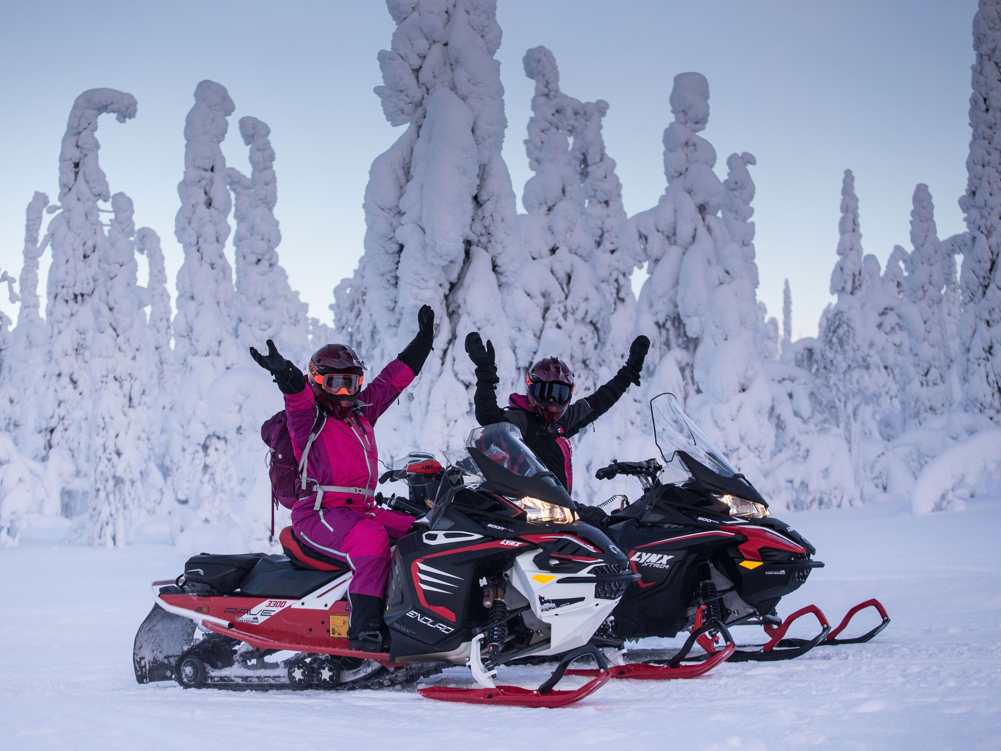 Snowmobiling brought us together