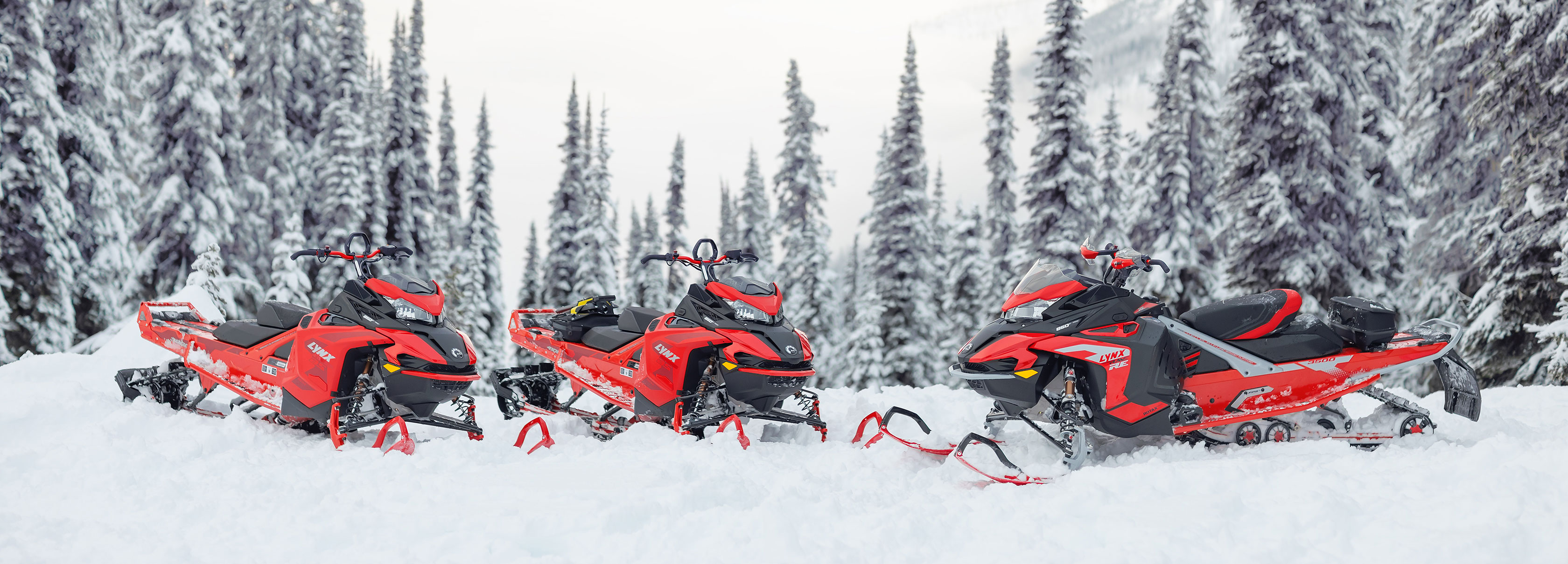 Lynx snowmobiles in snowy forest