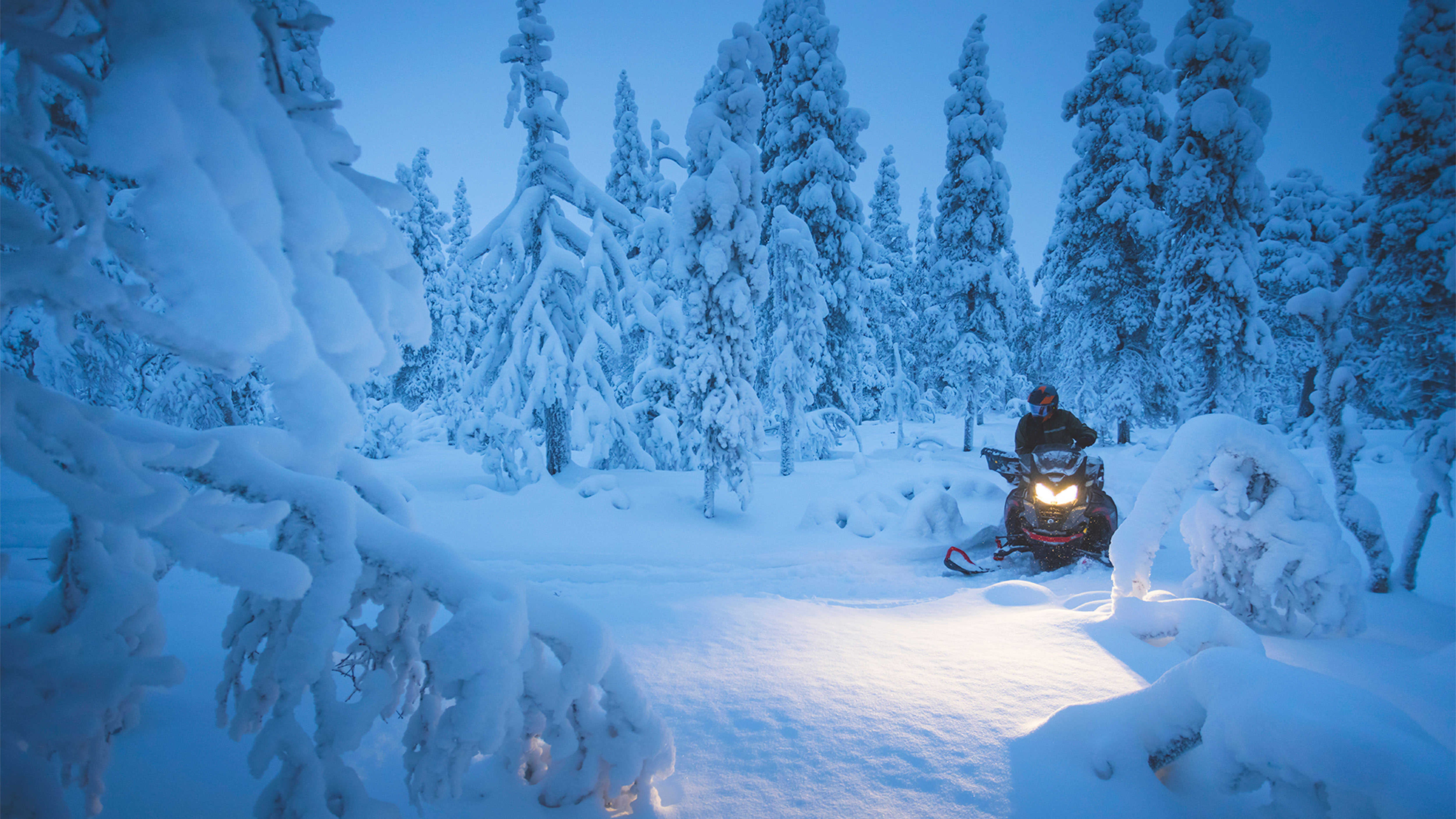 Lynx Commander Limited -moottorikelkka ajamassa lumisessa metsässä