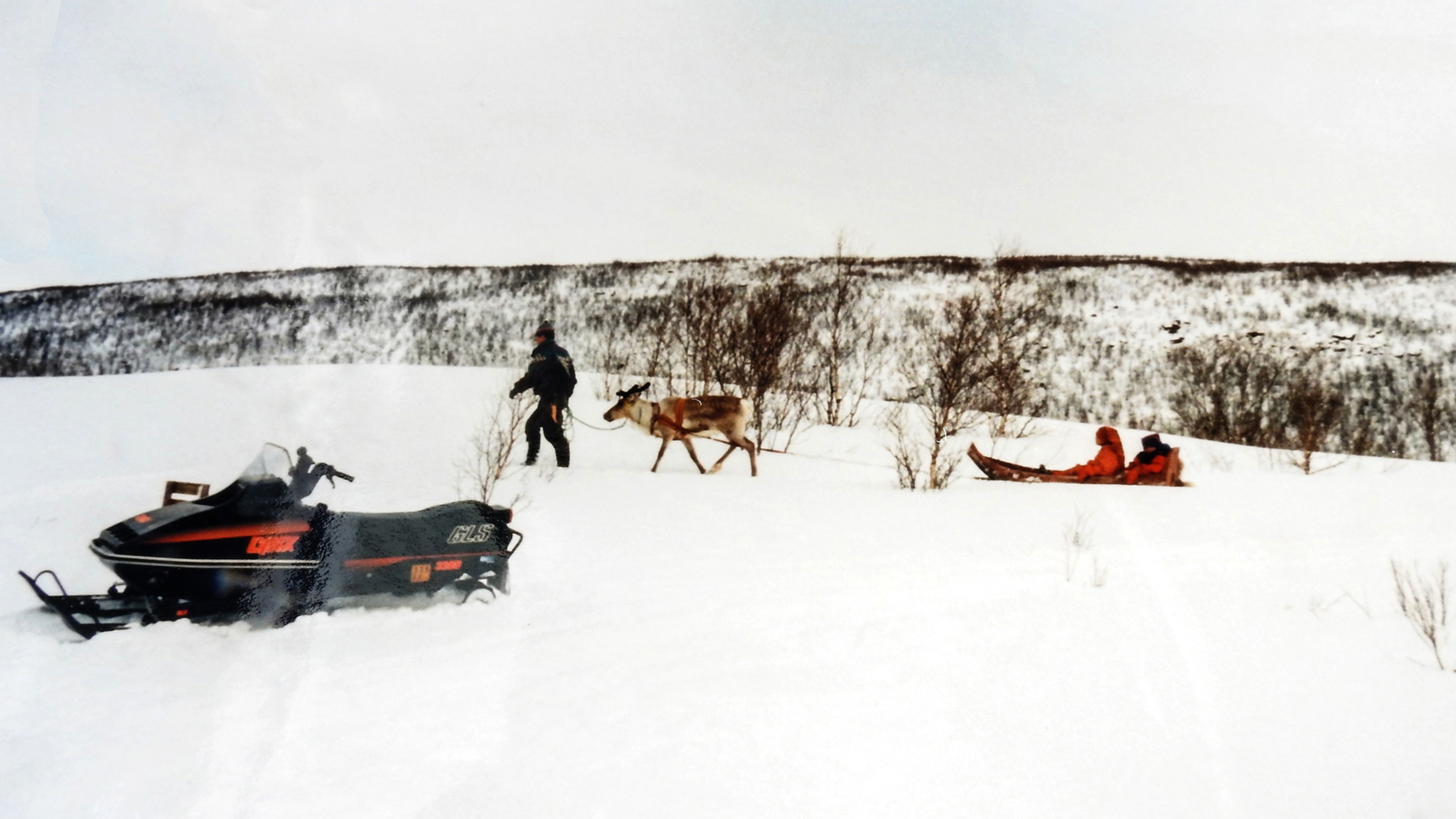 Reindeer towing two people sitting in a sleigh