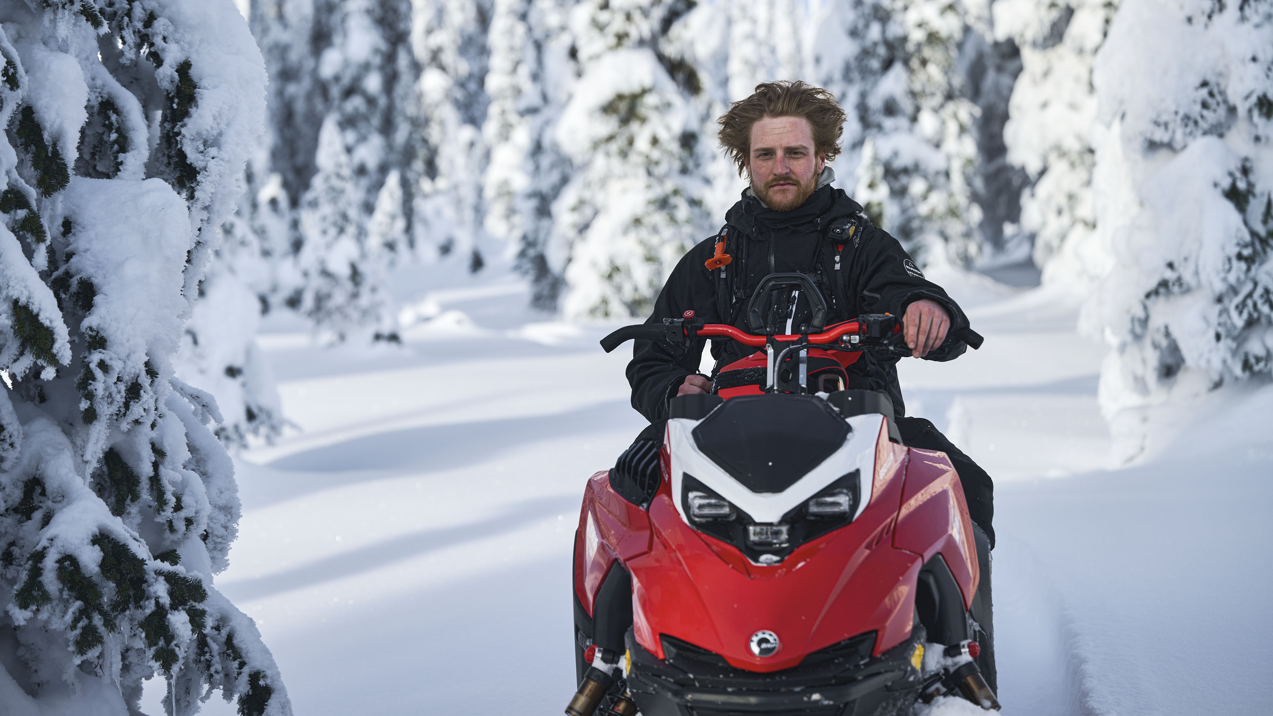 Ross Robinson, Ambassadeur du Lynx