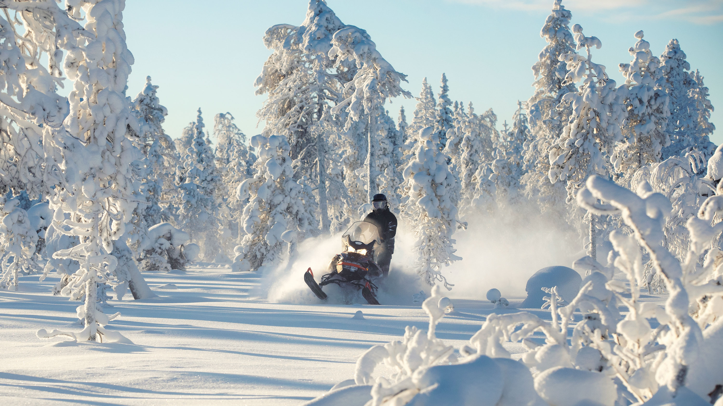 Lynx Commander Grand Tourer snowmobile riding in snowy forest