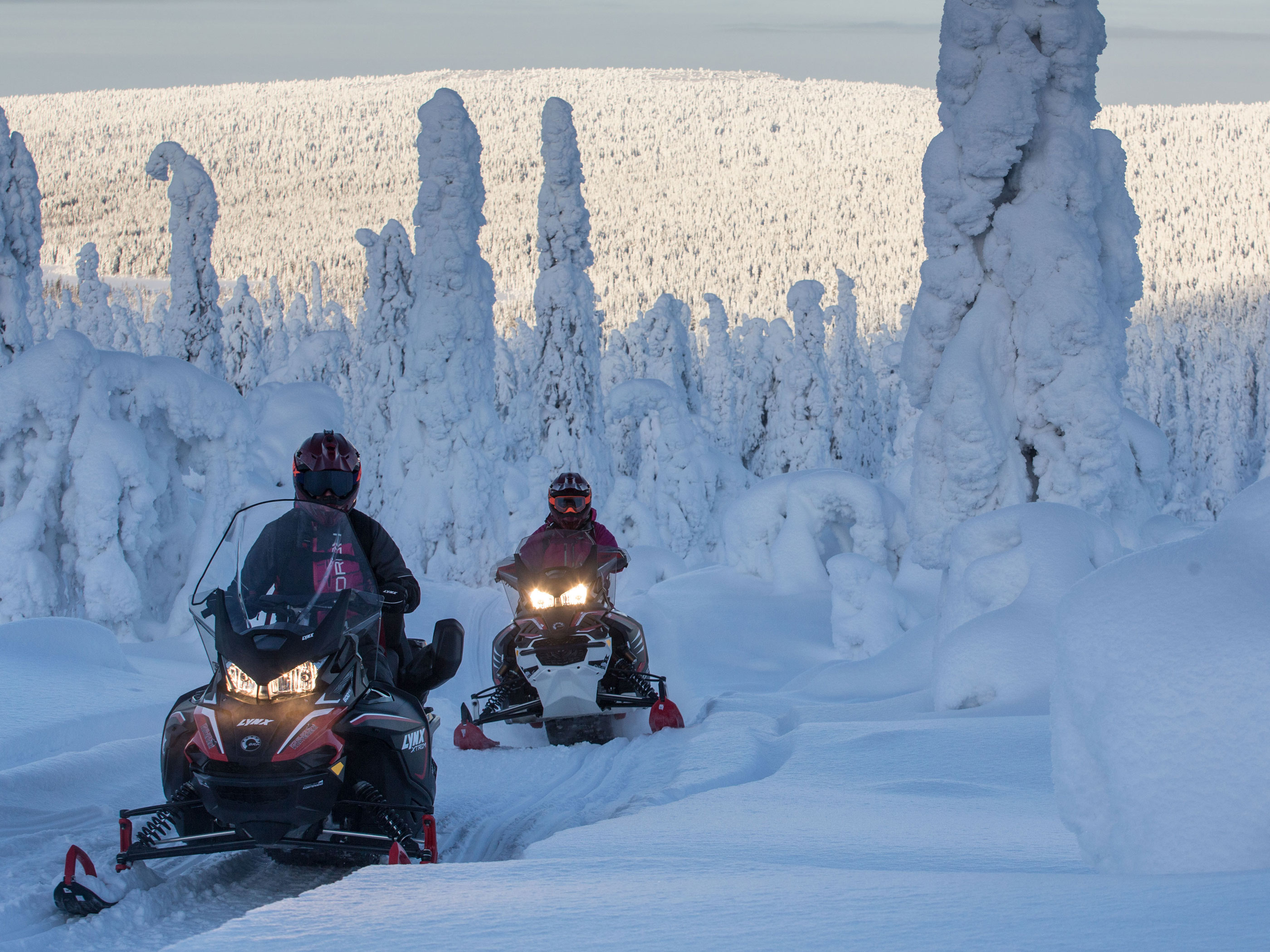 Minttu et Inari dans l'Arctique