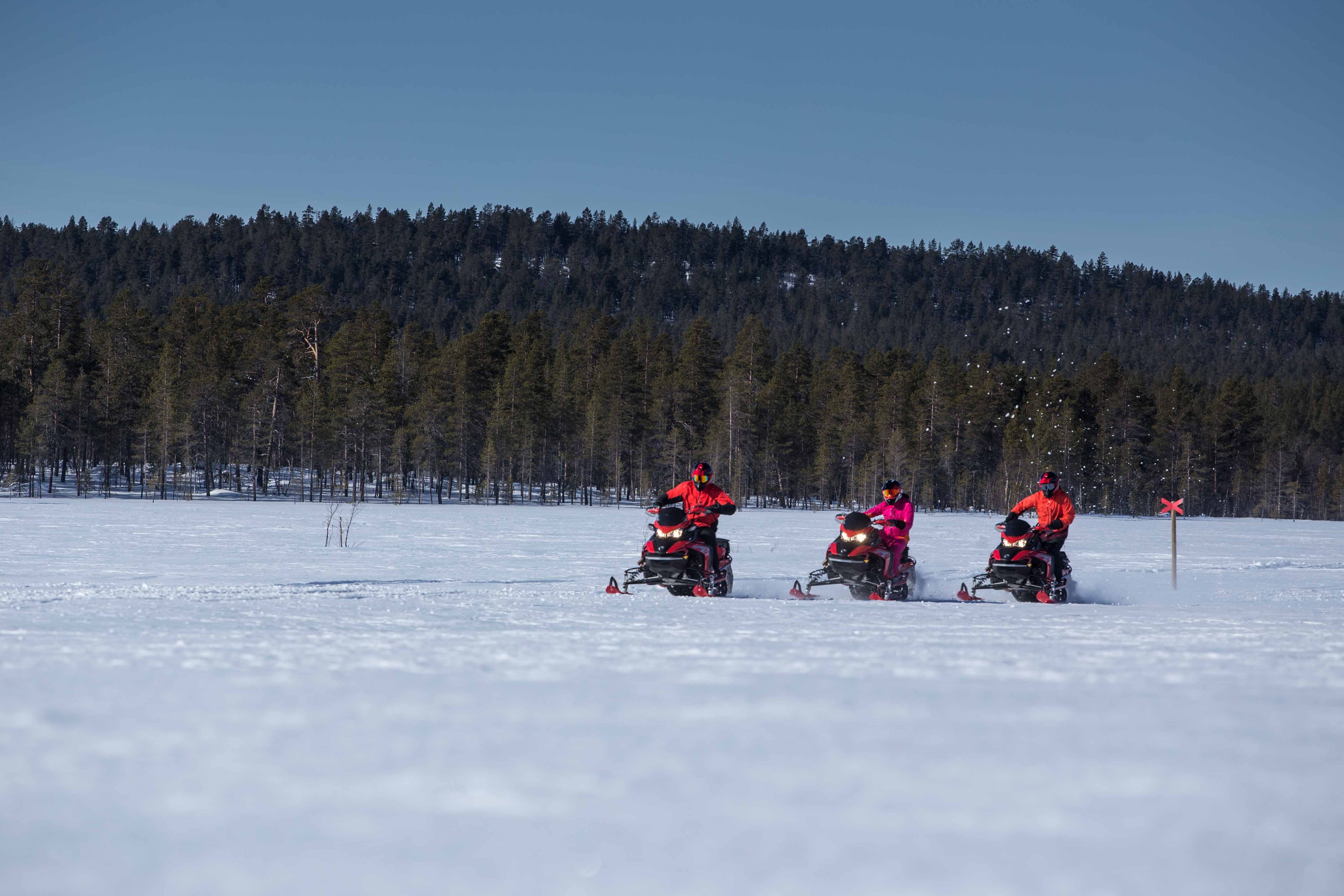 Lynx snowmobiles group riding on trail