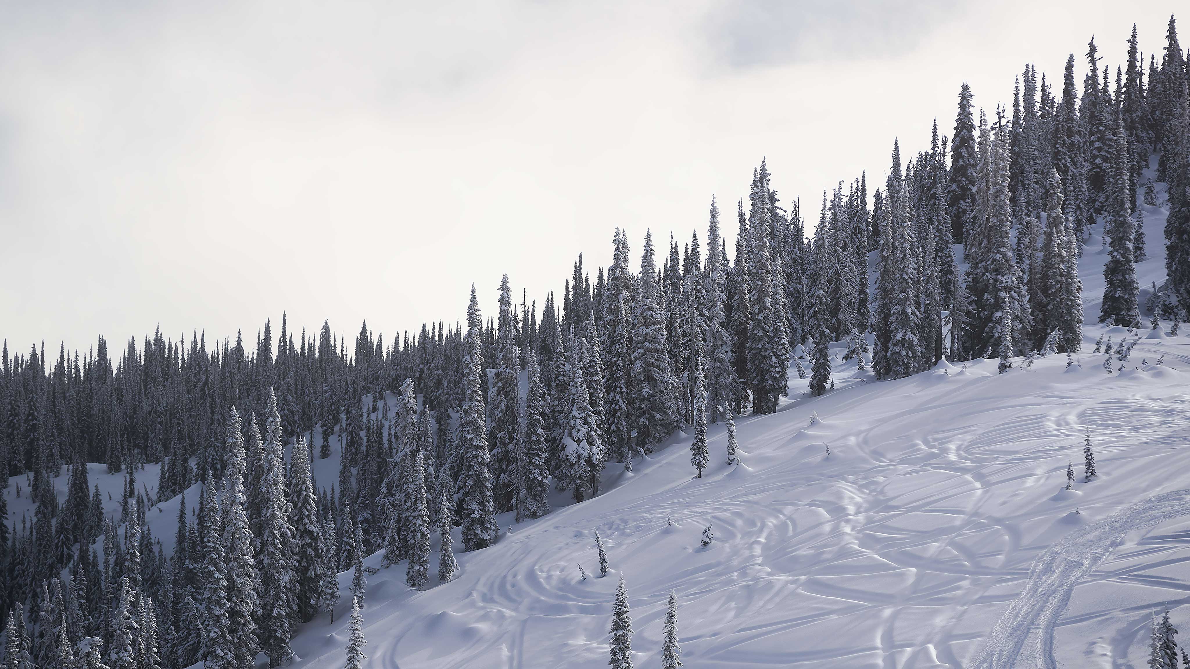 Homme conduisant un Lynx Shredder dans la poudreuse