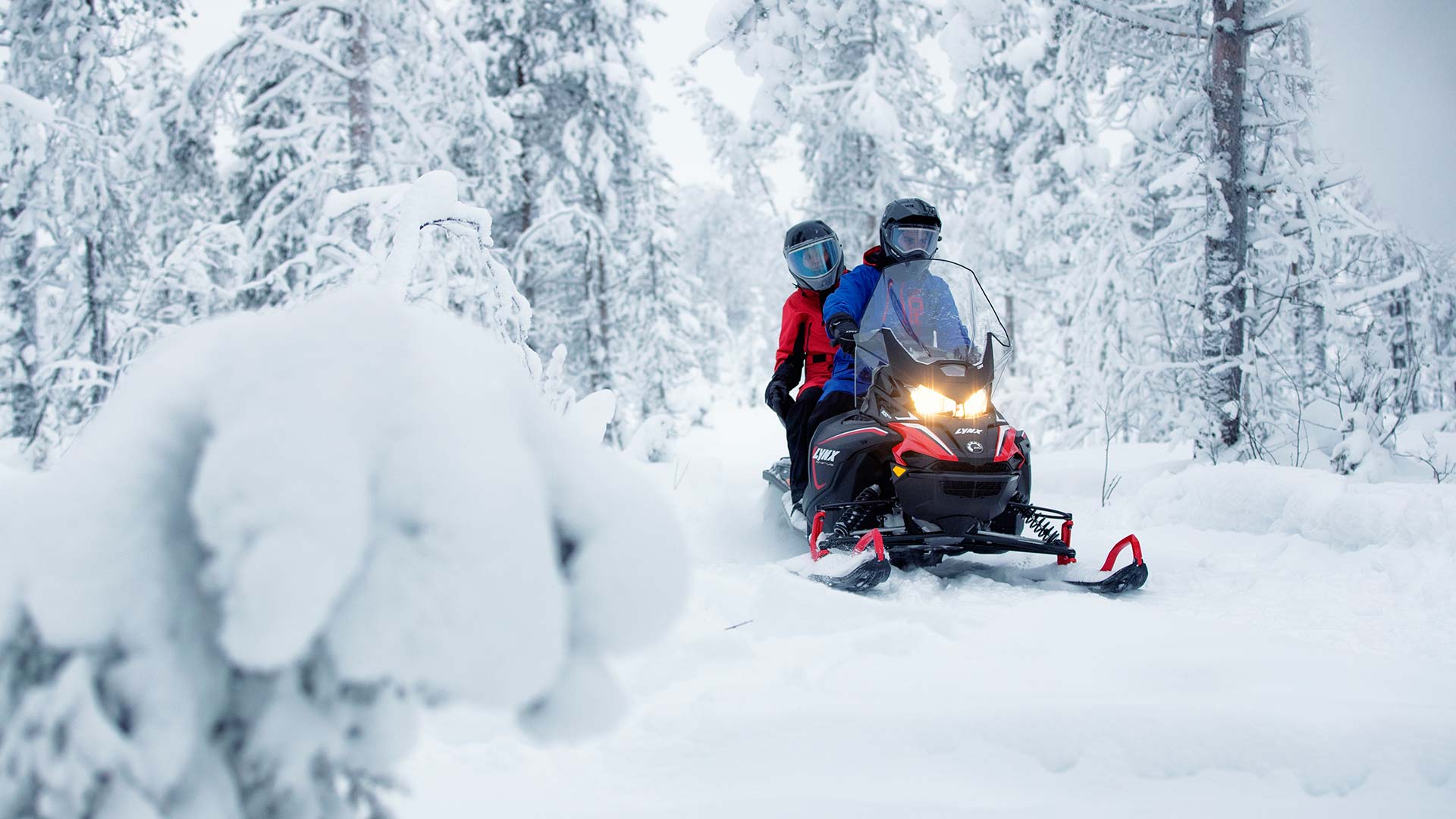 Lynx Adventure LX -moottorikelkkailua reitillä lumisessa metsässä
