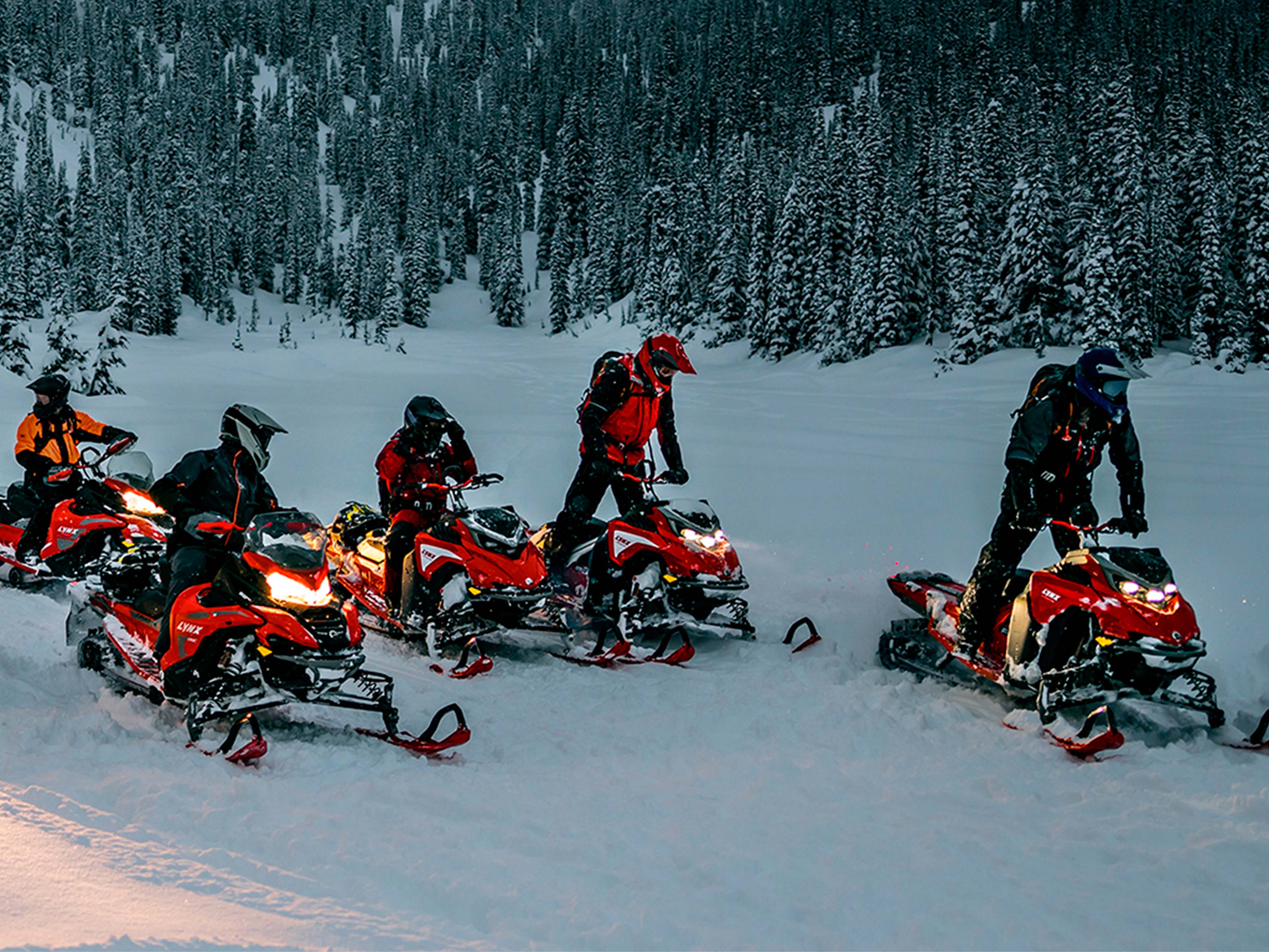 Lynx riders going out for riding.