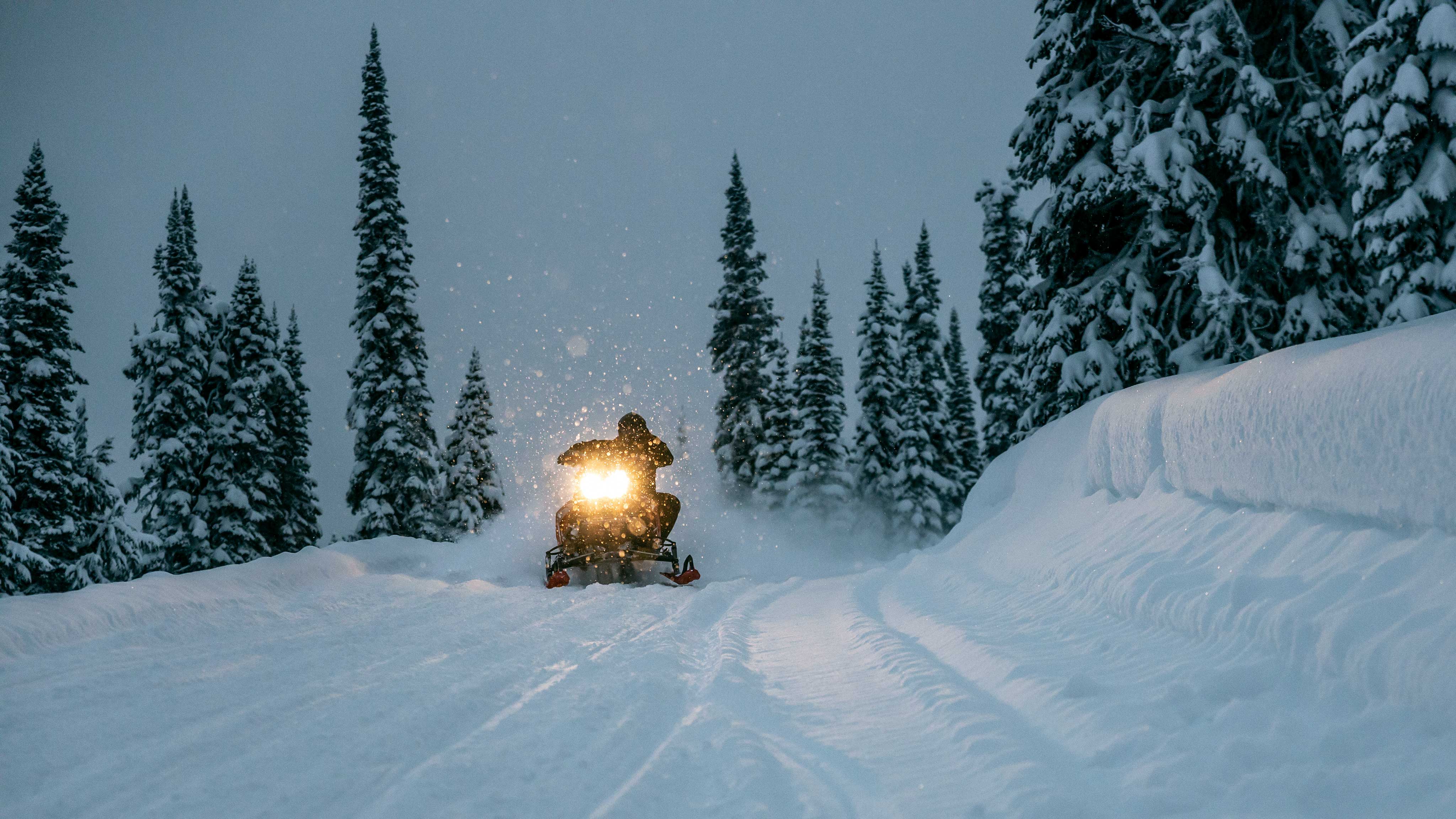 Lynx snowmobile owner riding through a dark forest