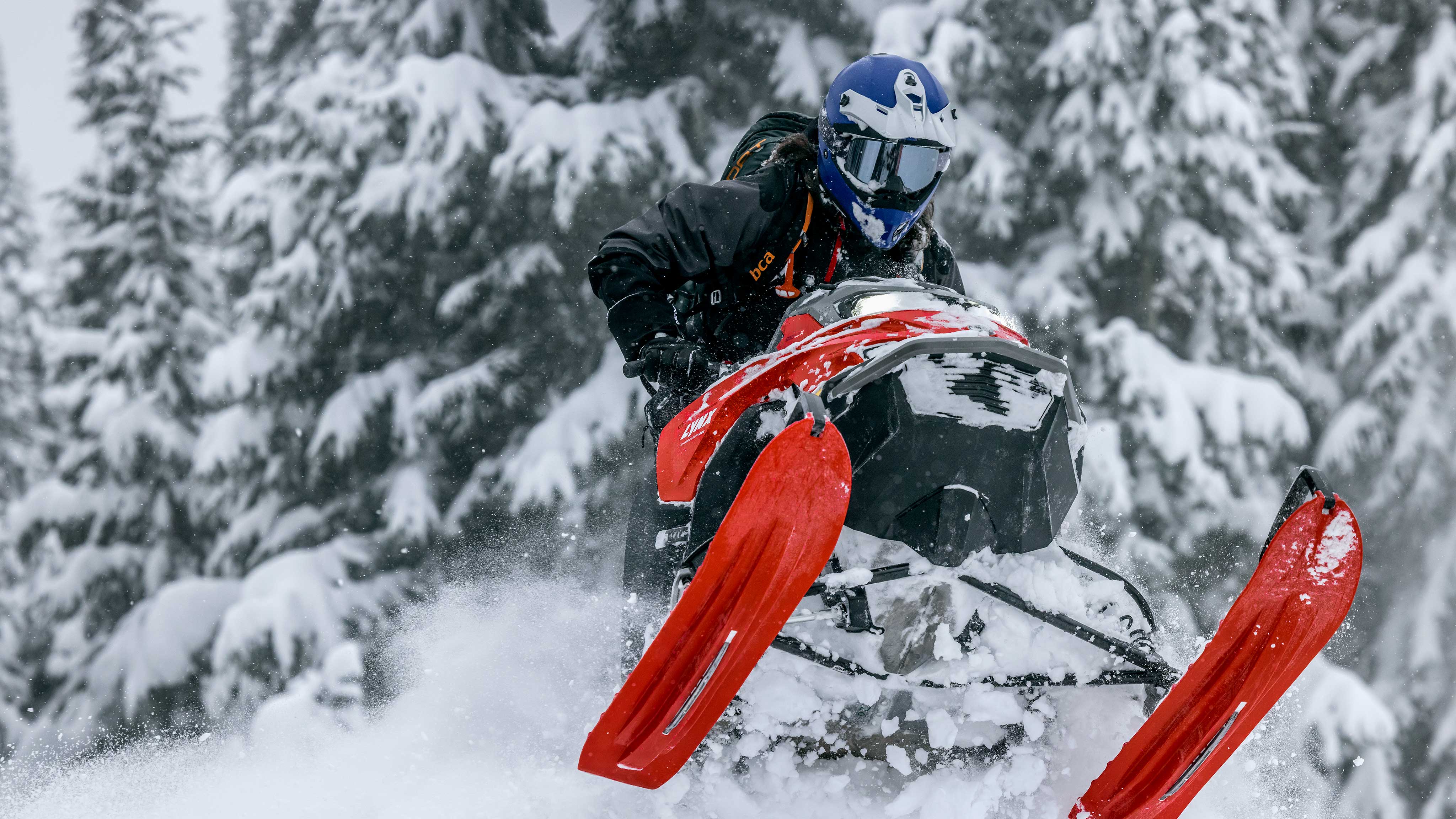  Close-up on skis shredder