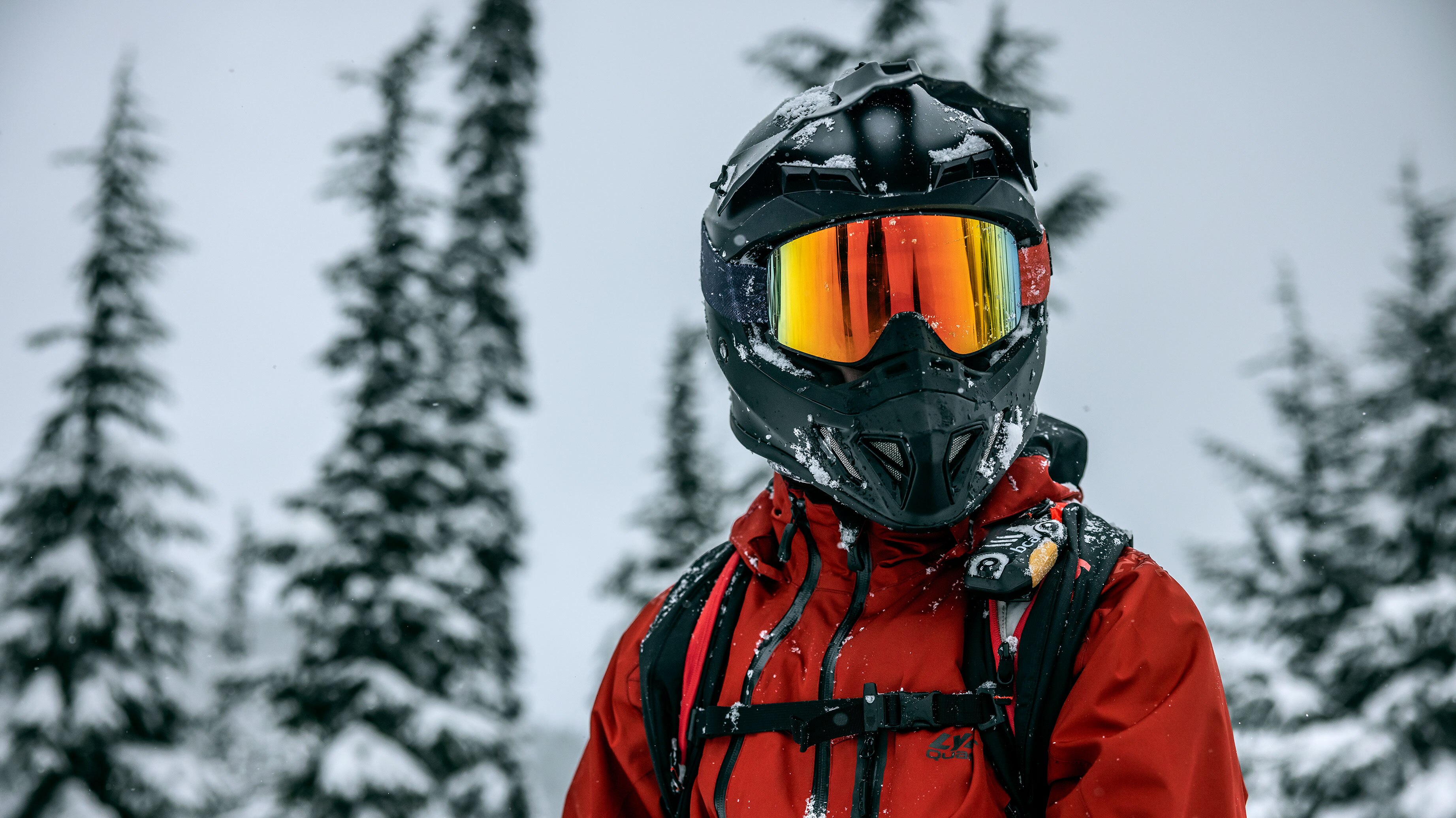 Lynx rider wearing a DOT helmet looking in the distance