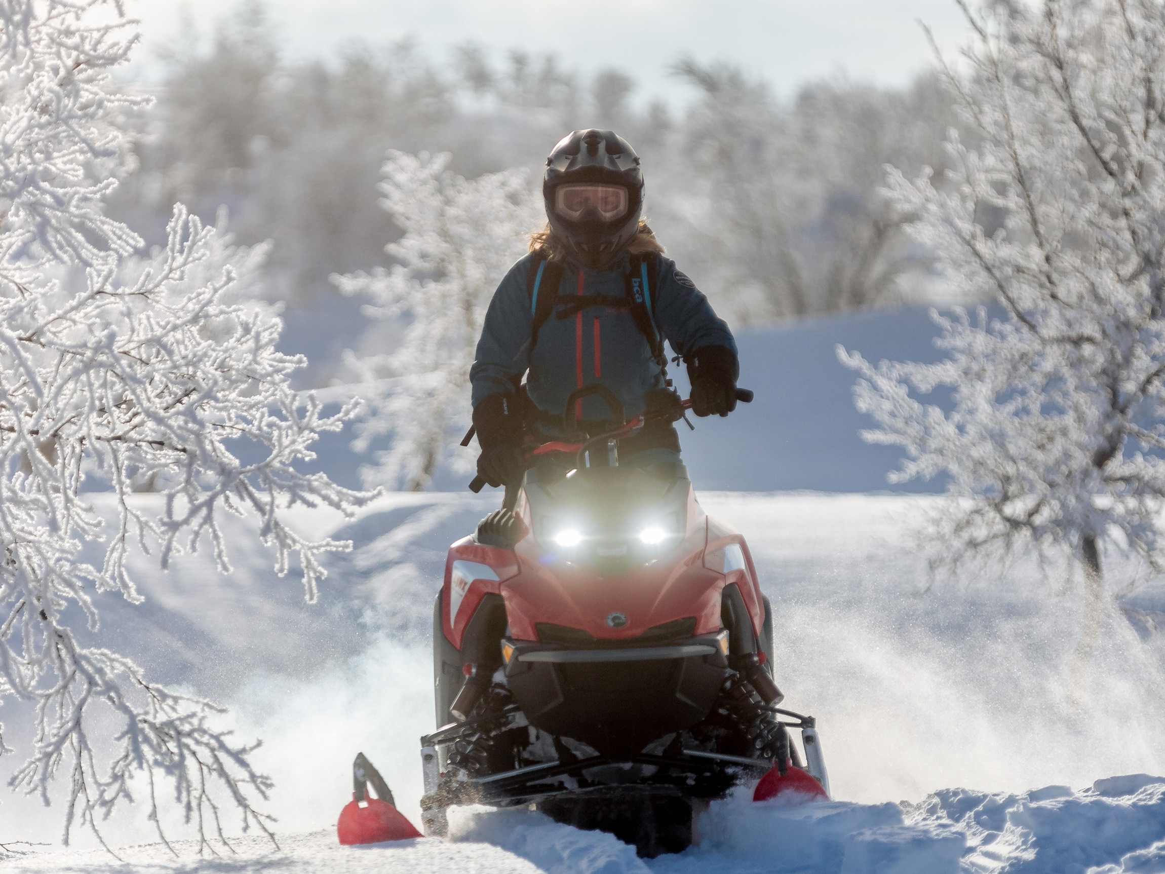 Lynx-snøscooterkjøring i fjellheimen