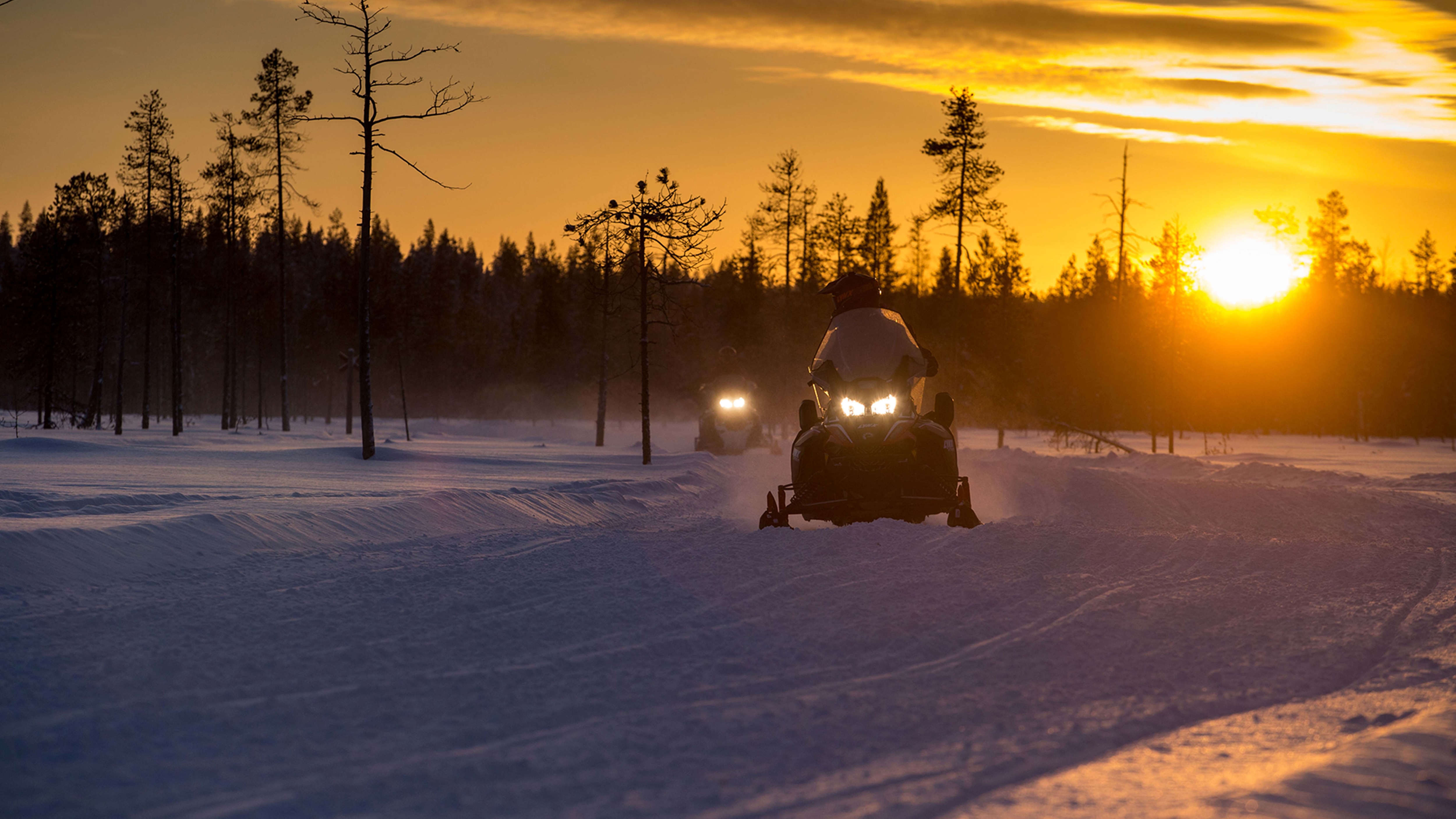 Lynx valo jälki pimeässä