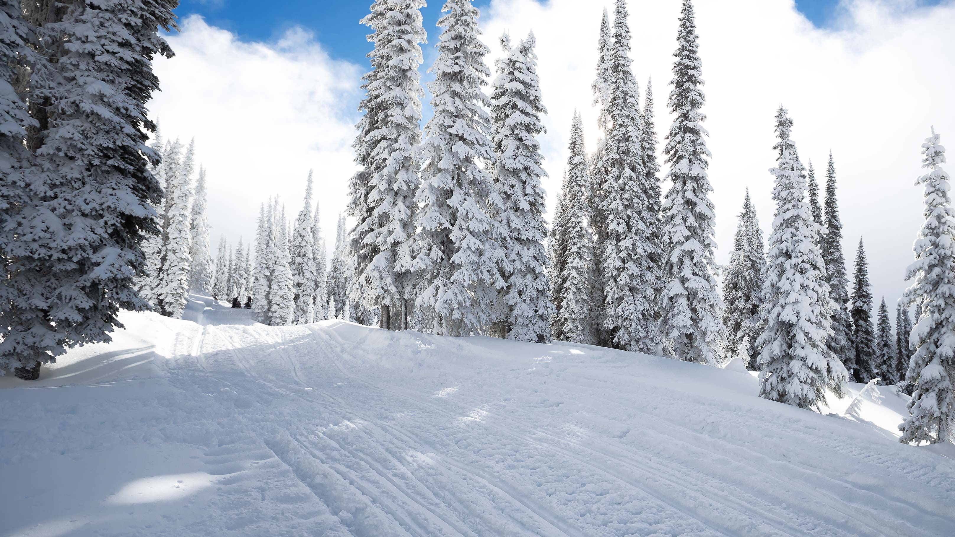 Snowmobile trail